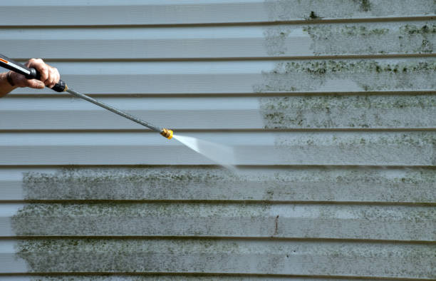 Best Fence Cleaning  in Berne, IN