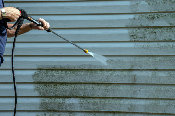 Best Building Exterior Washing  in Berne, IN